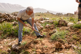 Al-Arz;Iris;Iris-Cedreti;Kaleidos;Kaleidos-images;Lebanon;Middle-East;Near-East;Tarek-Charara;Youssef-Tawk;Flowers;Endemic;Endemic-species;Critically-endangered;Critically-endangered-species